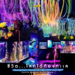 Sealife Bangkok Ocean World